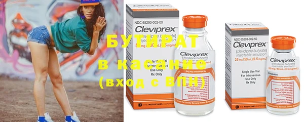 прущие грибы Осташков