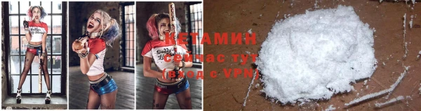 прущие грибы Осташков