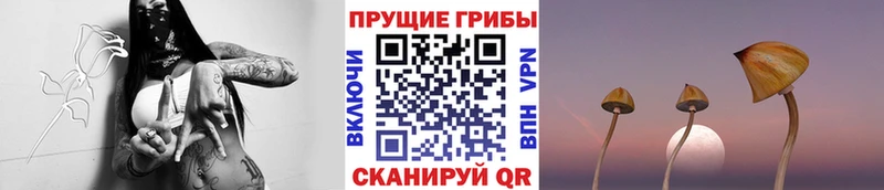 Псилоцибиновые грибы мицелий  Купить где  Раменское 